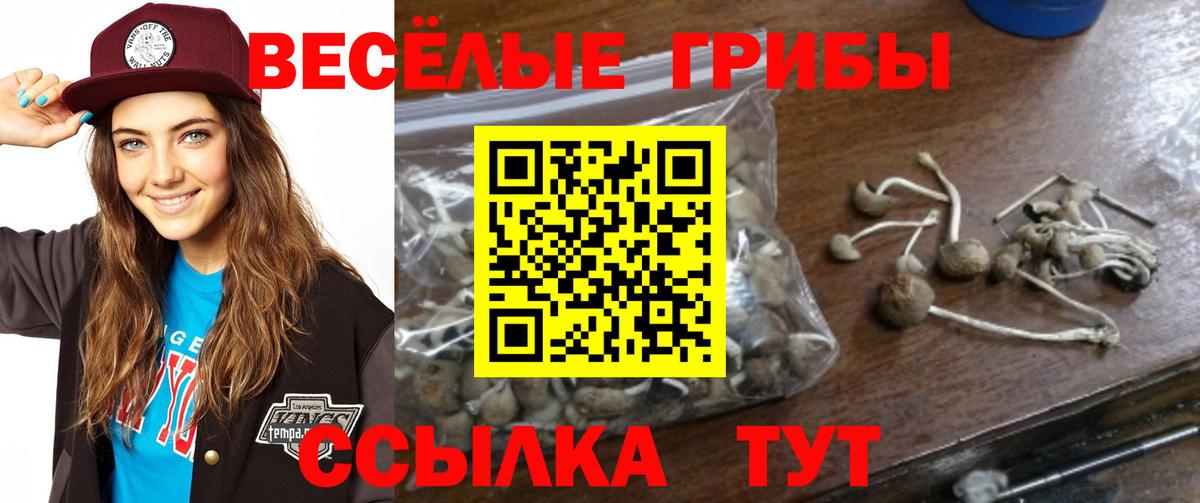 дарнет шоп  Галлюциногенные грибы Psilocybine cubensis  Вход с VPN  Мичуринск 